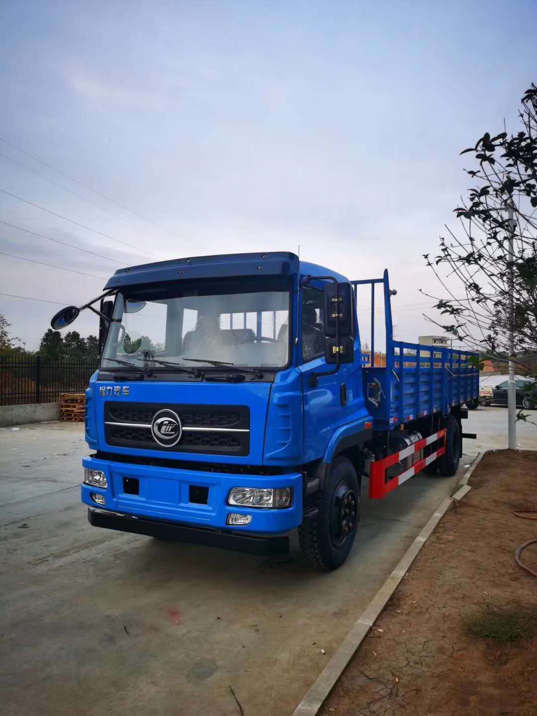 程力TT50平頭九米B2教練車圖片